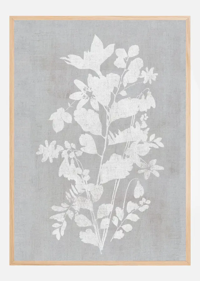 Bildverkstad Botanical Illustration 2 Poster