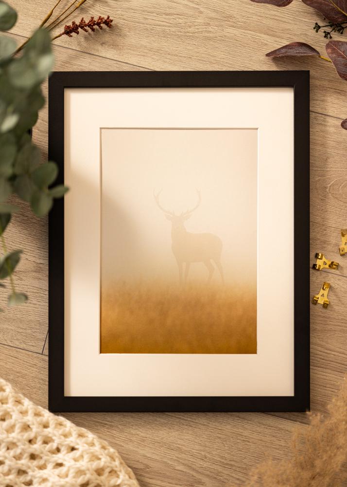 BGA Rahmen Deco Acrylglas Schwarz 29.7x42 cm (A3)