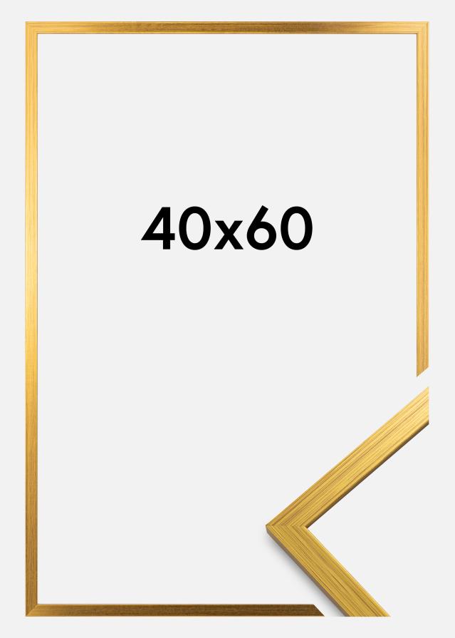 Galleri 1 Rahmen Edsbyn Gold 40x60 cm