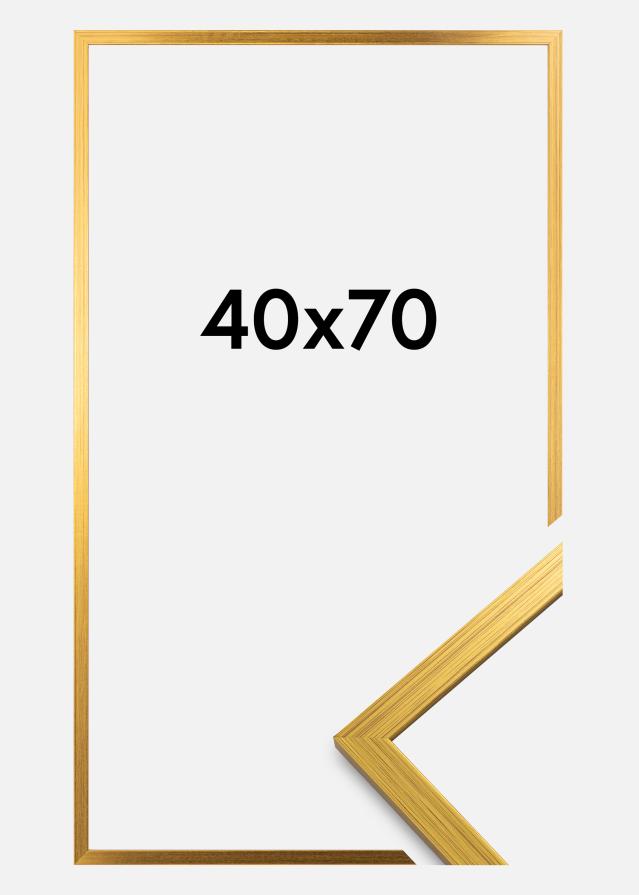 Galleri 1 Rahmen Edsbyn Acrylglas Gold 40x70 cm