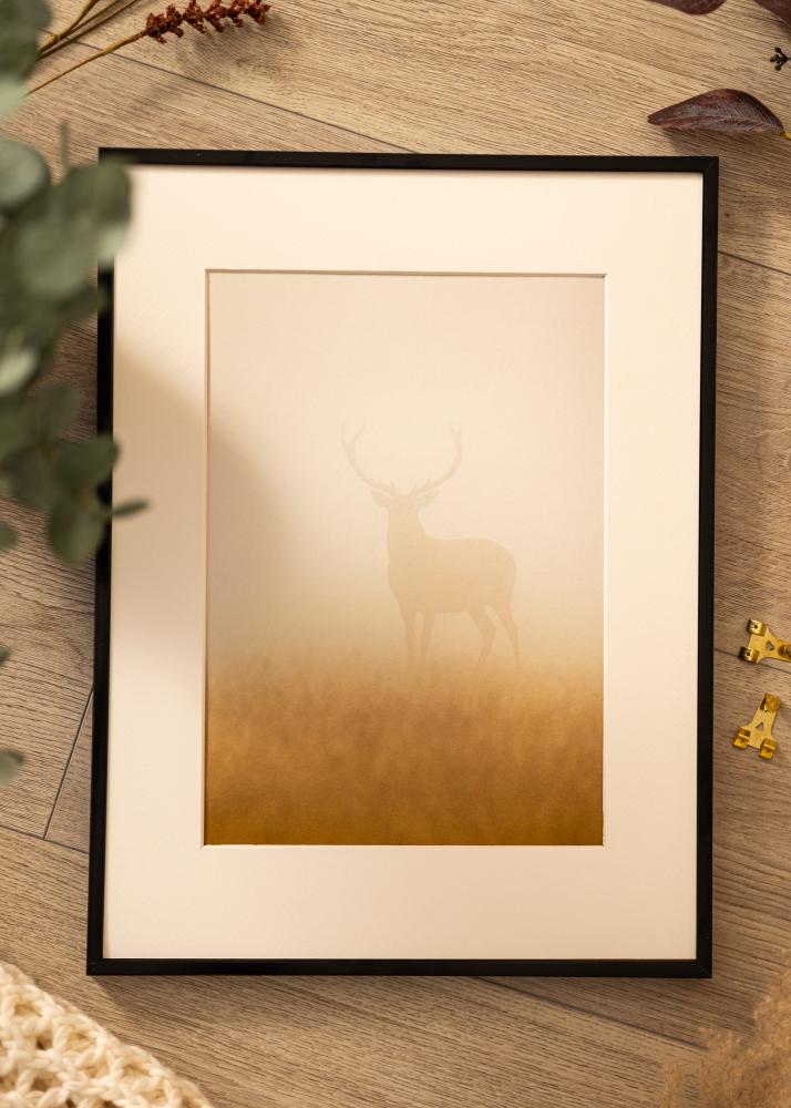 BGA Aluminiumrahmen Acrylglas Schwarz 21x29,7 cm (A4)