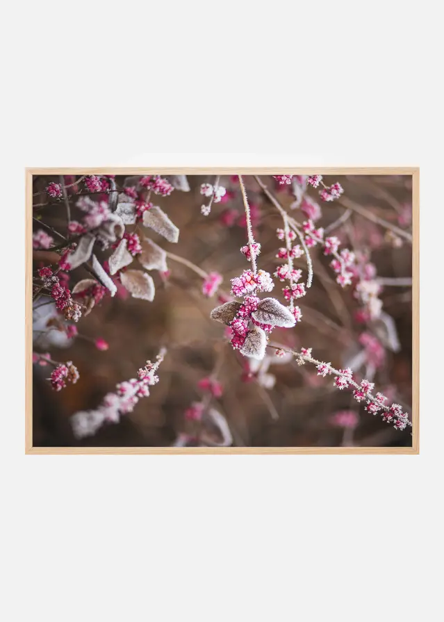 Bildverkstad Blume Nahaufnahme Poster