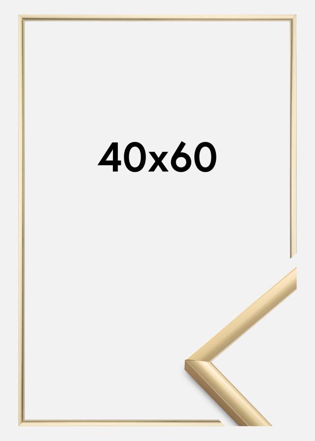 BGA Rahmen New Lifestyle Acrylglas Gold 40x60 cm