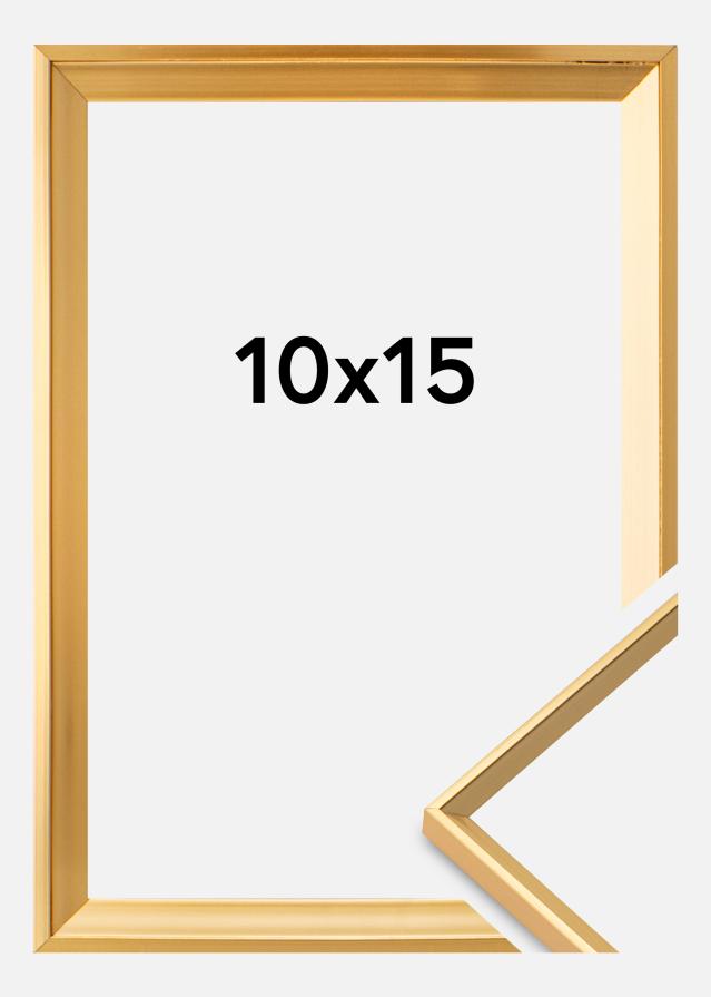 Walther Rahmen Desire Acrylglas Gull 10x15 cm