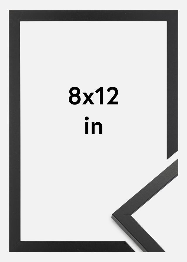 Artlink Rahmen Trendy Acrylglas Schwarz 8x12 inches (20,32x30,48 cm)