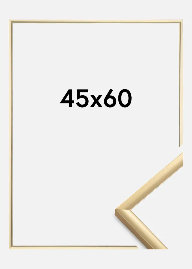 BGA Rahmen New Lifestyle Acrylglas Gold 45x60 cm