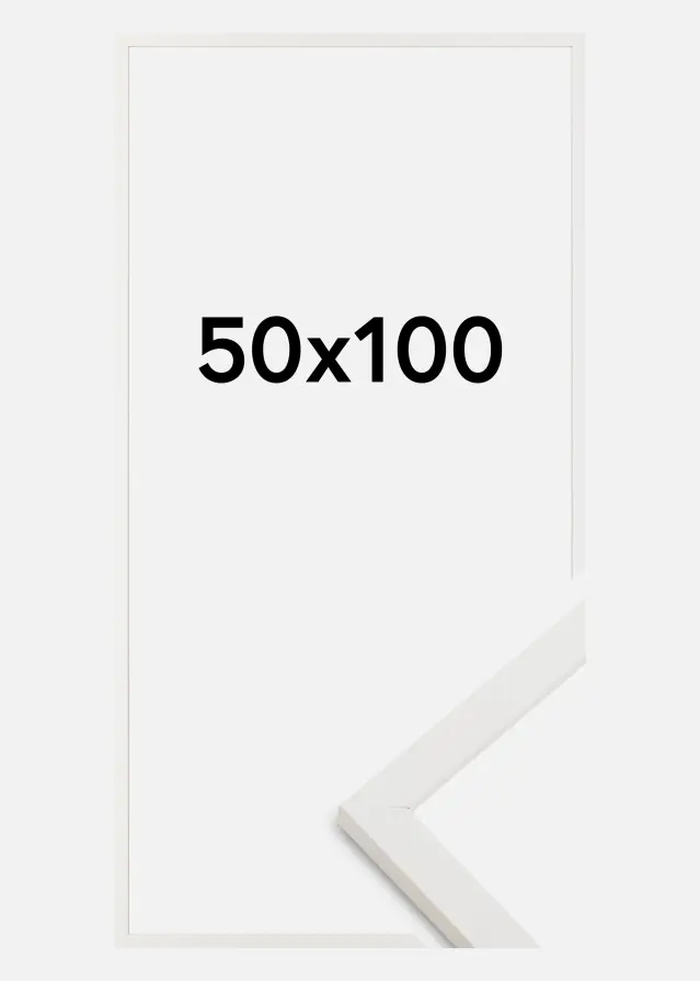 Artlink Rahmen Trendy Acrylglas Weiss 50x100 cm
