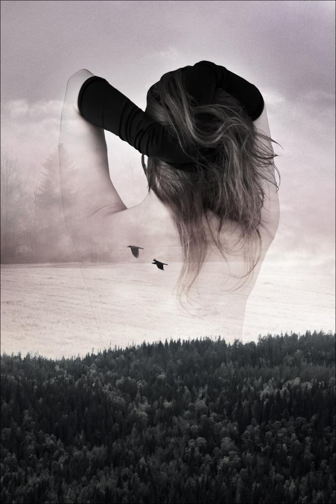 Bildverkstad Forestsoul Poster