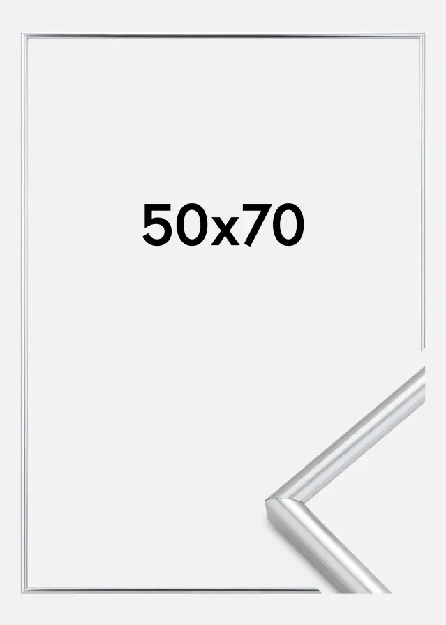Walther Rahmen Galeria Silber 50x70 cm