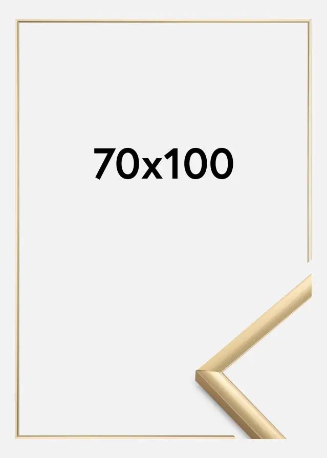 BGA Rahmen New Lifestyle Acrylglas Gold 70x100 cm