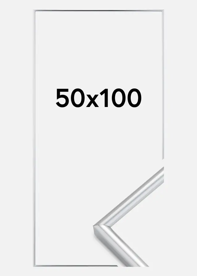 Walther Rahmen Galeria Silber 50x100 cm