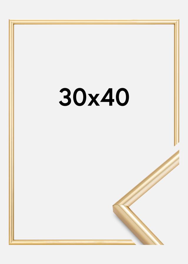 Walther Rahmen Galeria Gold 30x40 cm