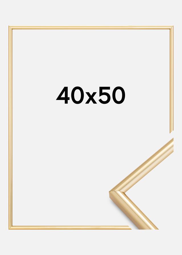 Walther Rahmen Galeria Gold 40x50 cm