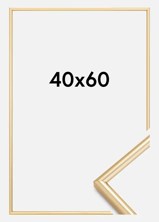 Walther Rahmen Galeria Gold 40x60 cm