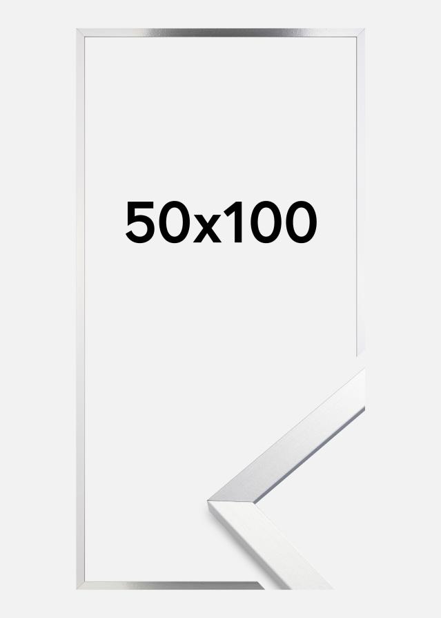 Artlink Rahmen Trendy Acrylglas Silber 50x100 cm