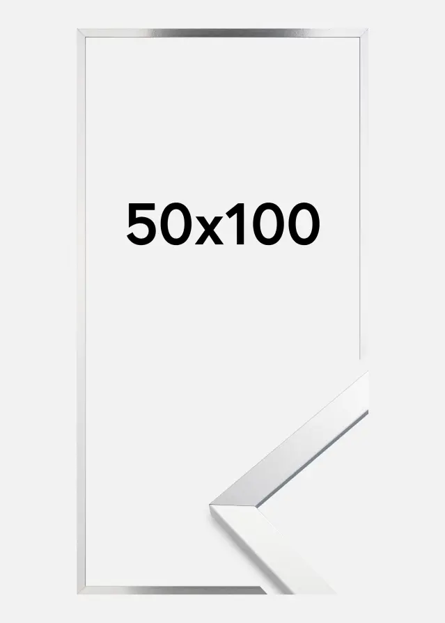 Artlink Rahmen Trendy Acrylglas Silber 50x100 cm