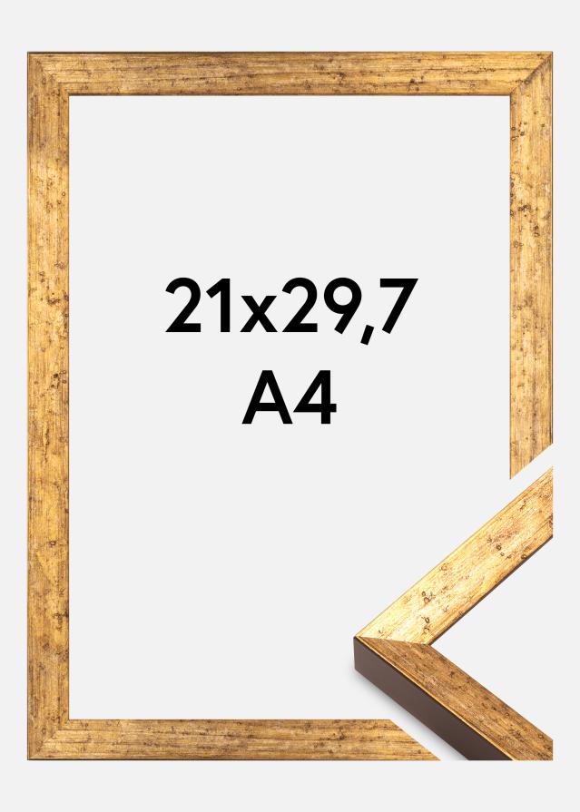 Jämtlands Ramfabrik Rahmen Dune Acrylglas Gold 21x29,7 cm (A4)