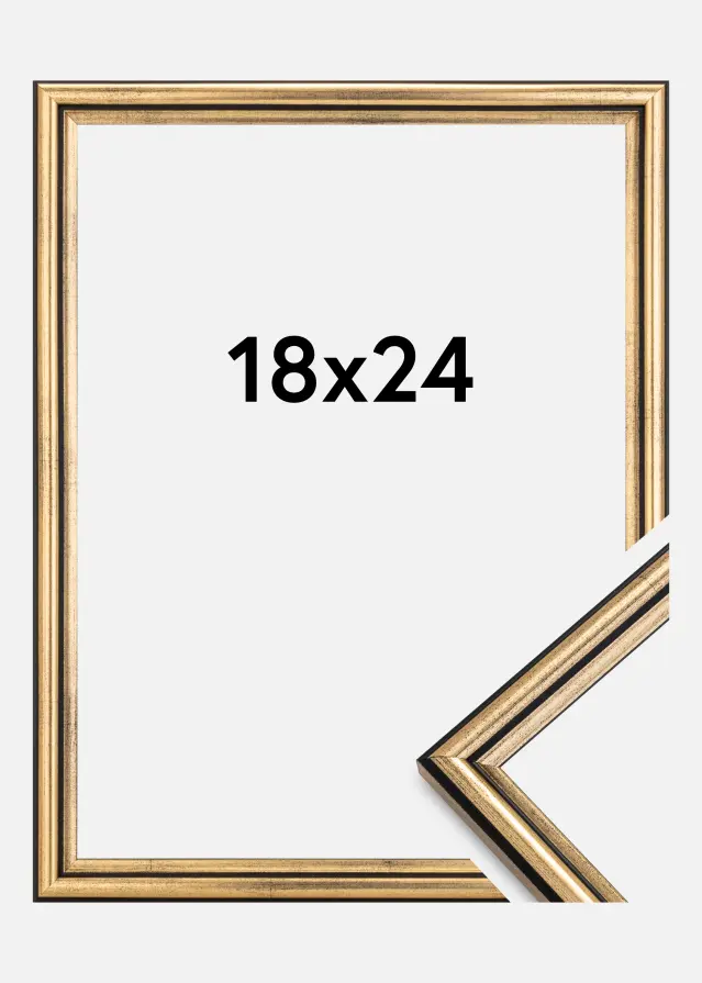 Galleri 1 Rahmen Horndal Acrylglas Gold 18x24 cm