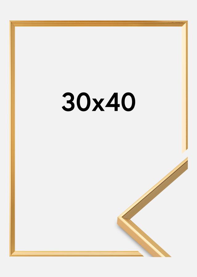 Walther Rahmen Desire Acrylglas Gull 30x40 cm