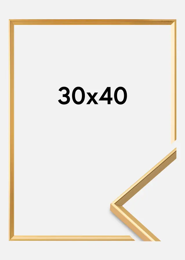 Walther Rahmen Desire Acrylglas Gull 30x40 cm