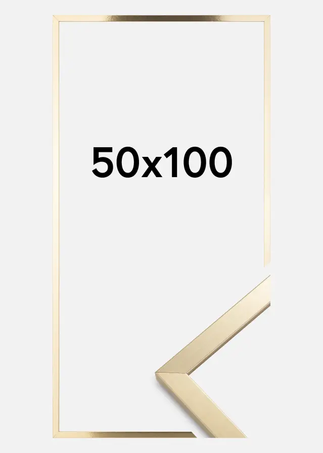 Artlink Rahmen Trendy Acrylglas Gold 50x100 cm