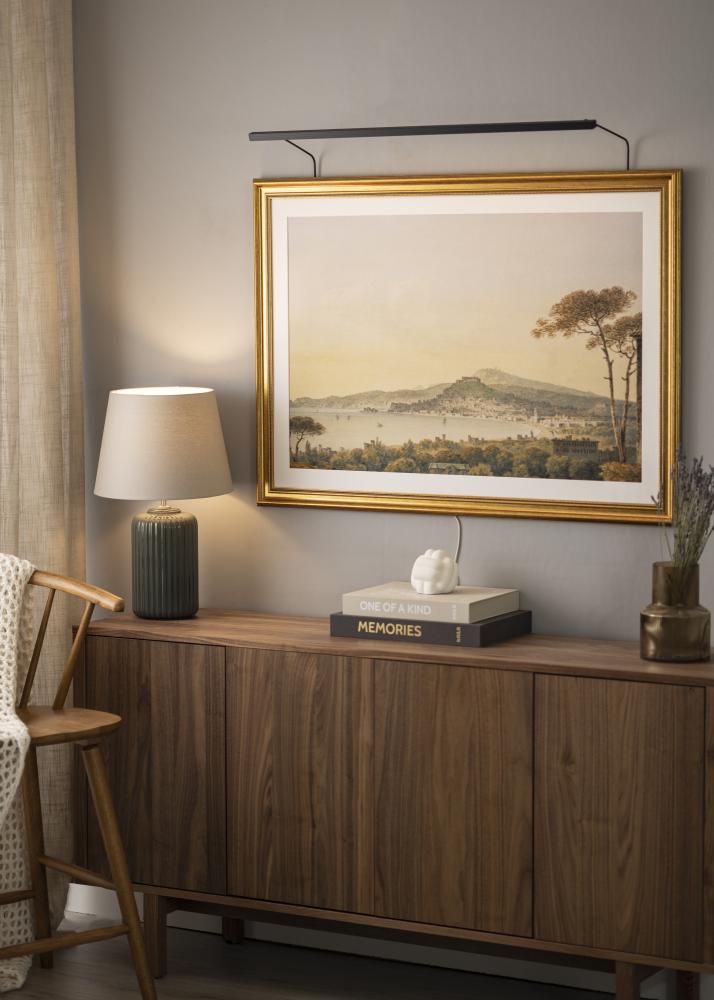 BLP BLP 117 Bildbeleuchtung 85 cm - Schwarz