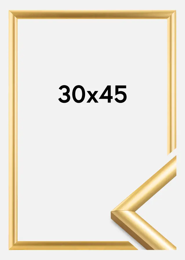 Walther Rahmen Trendstyle Gold 30x45 cm