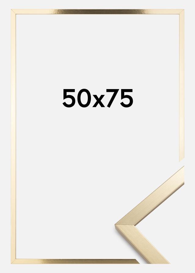 Artlink Rahmen Trendy Acrylglas Gold 50x75 cm
