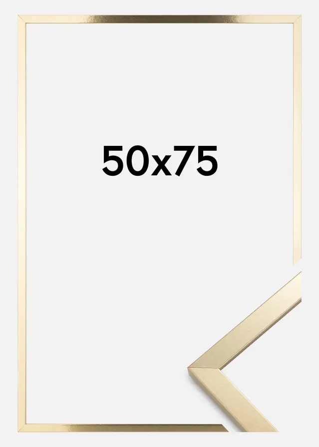 Artlink Rahmen Trendy Acrylglas Gold 50x75 cm