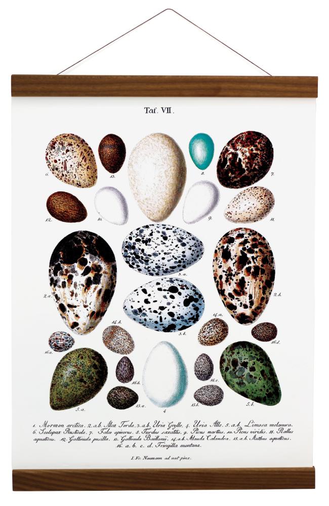 Estancia Posteraufhängung Walnuss - 80 cm