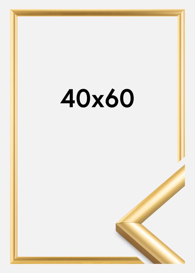 Walther Rahmen Trendstyle Gold 40x60 cm