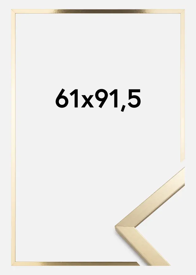 Artlink Rahmen Trendy Acrylglas Gold 61x91,5 cm