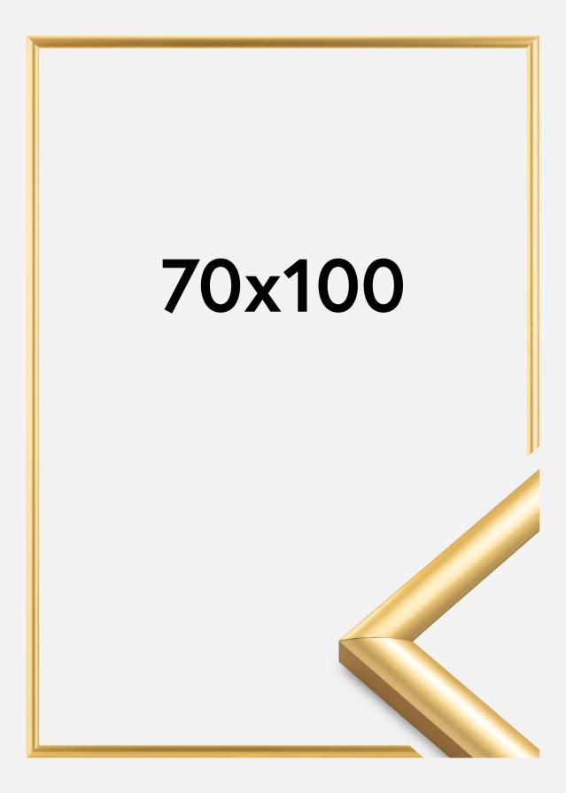 Walther Rahmen Trendstyle Gold 70x100 cm