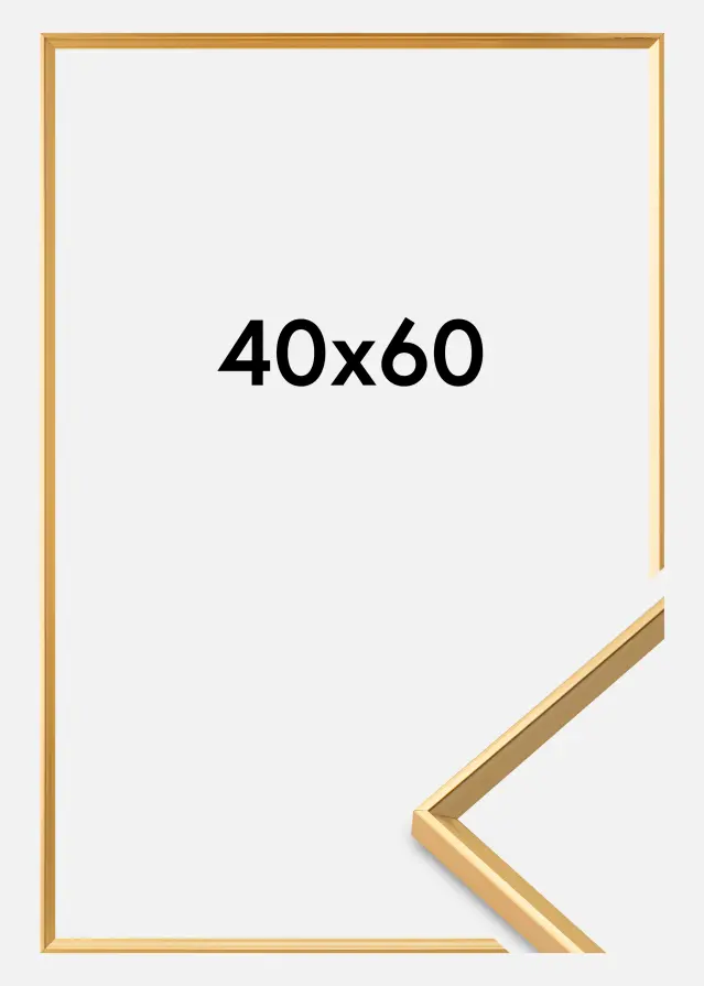 Walther Rahmen Desire Acrylglas Gull 40x60 cm