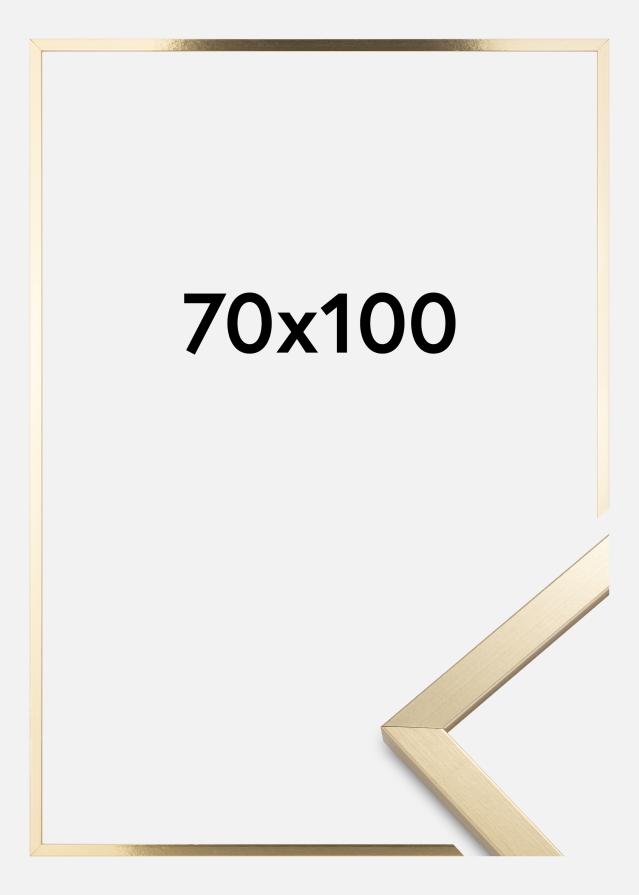 Artlink Rahmen Trendy Acrylglas Gold 70x100 cm