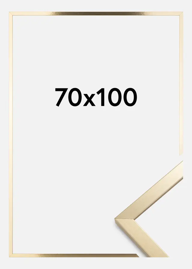 Artlink Rahmen Trendy Acrylglas Gold 70x100 cm