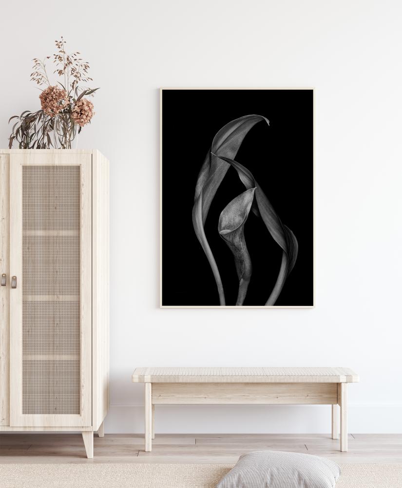 Bildverkstad Dancing Calla Lillies Poster
