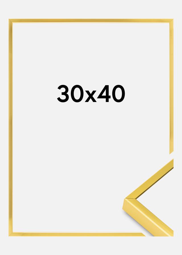 BGA Aluminiumrahmen Acrylglas Gold 30x40 cm