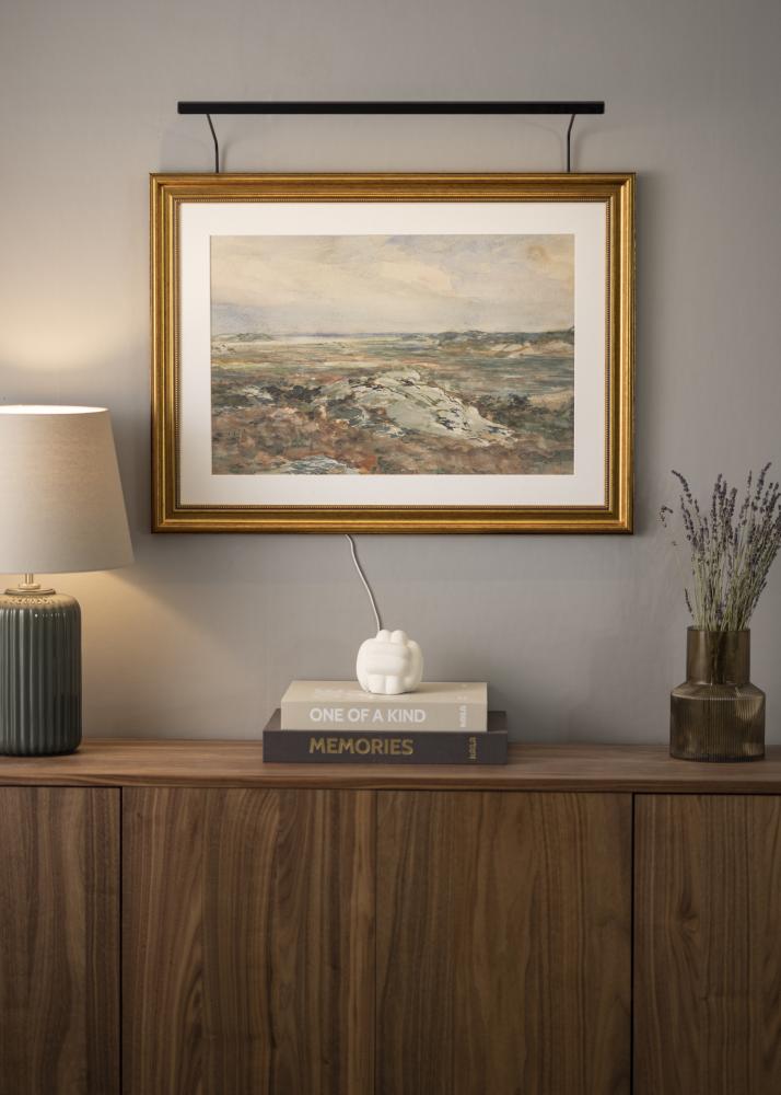 BLP BLP 117 Bildbeleuchtung 65 cm - Schwarz