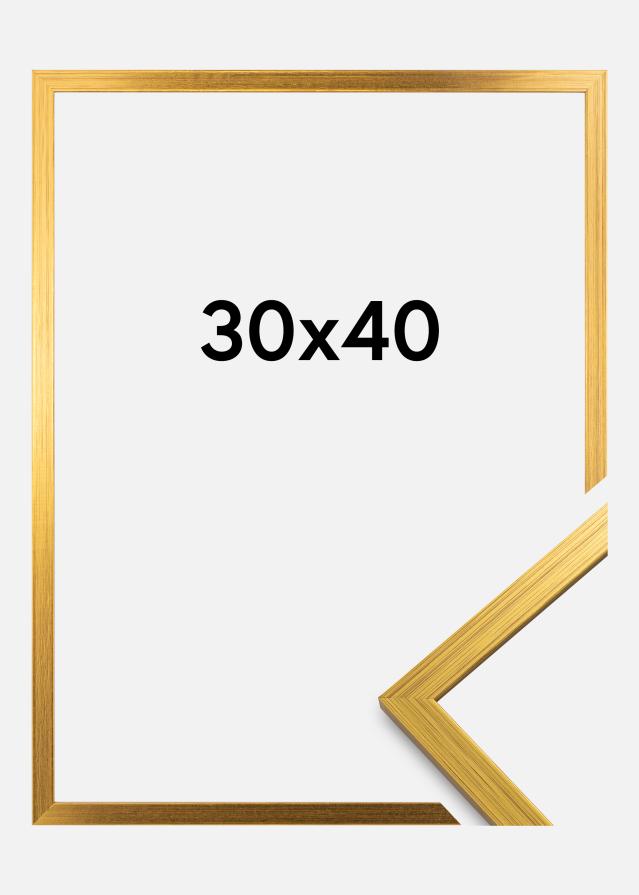 Galleri 1 Rahmen Edsbyn Gold 30x40 cm