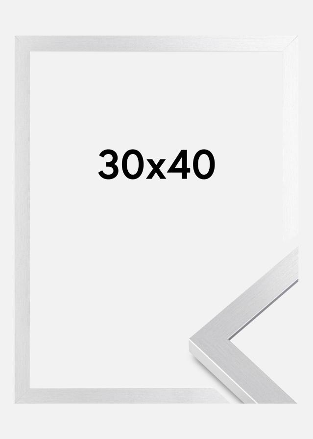 BGA Rahmen Selection Acrylglas Silber 30x40 cm