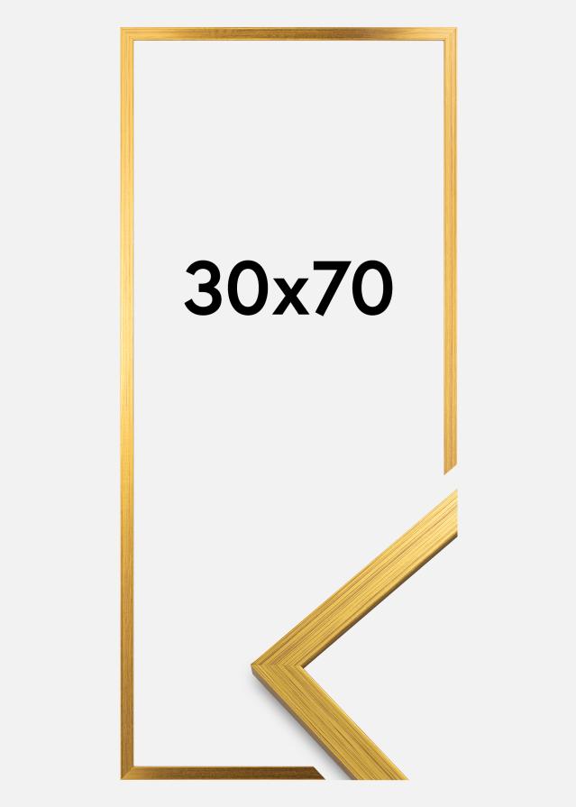 Galleri 1 Rahmen Edsbyn Acrylglas Gold 30x70 cm