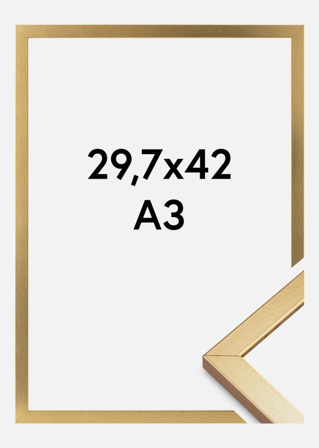 Mavanti Rahmen Minerva Acrylglas Gold 29,7x42 cm (A3)