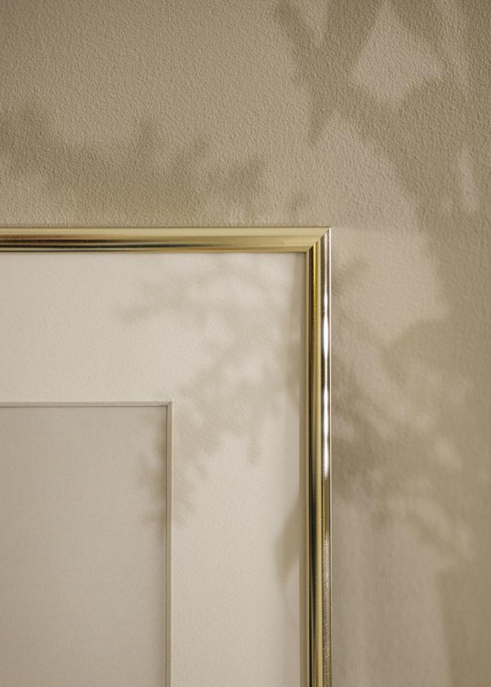 Estancia Rahmen Aluminium Acrylglas Gold Glänzend 50x70 cm