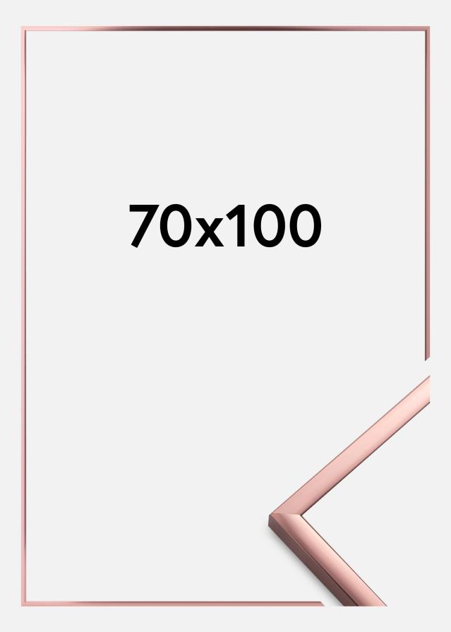 Artlink Rahmen Poster Frame Aluminum Acrylglas Roségold 70x100 cm