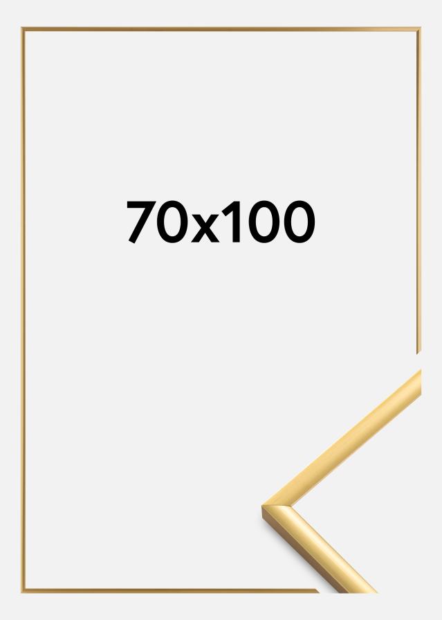 BGA Rahmen New Lifestyle Acrylglas Shiny Gold 70x100 cm