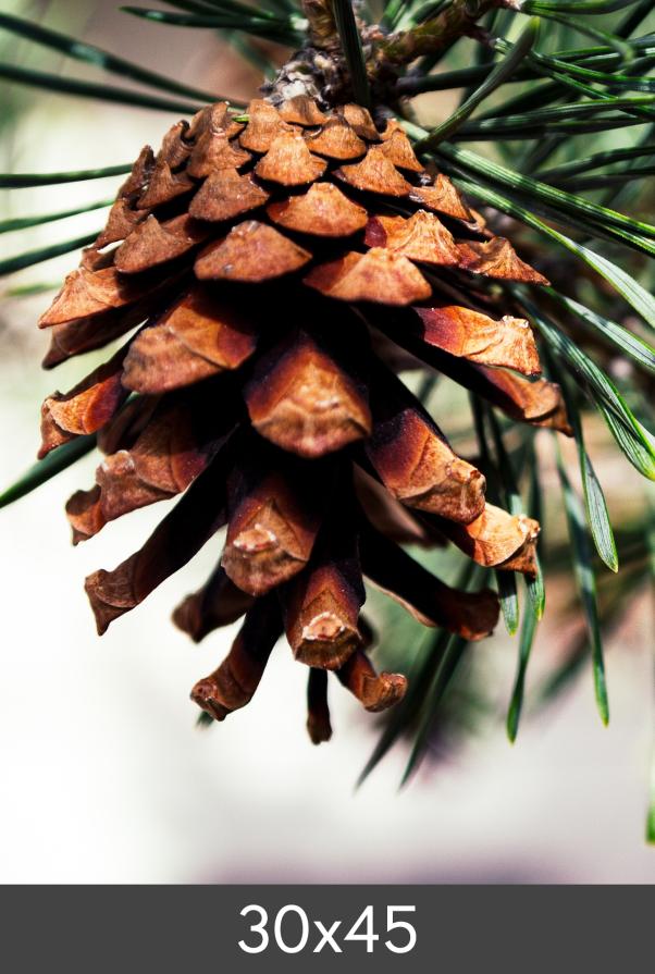 Egen tillverkning - Kundbild Vergrößerung FineArt Bamboo 290 g