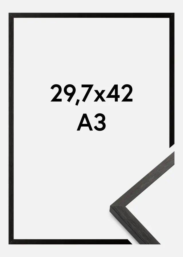 Walther Rahmen Chair Schwarz 29,7x42 cm (A3)