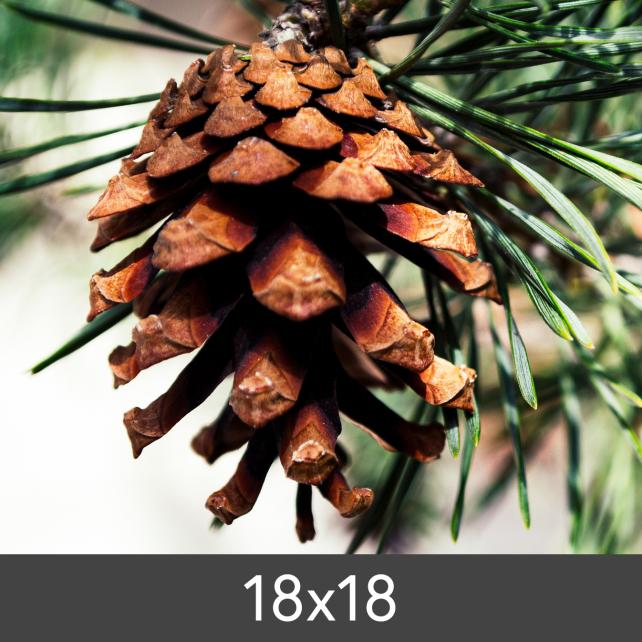 Egen tillverkning - Kundbild Vergrößerung FineArt Bamboo 290 g