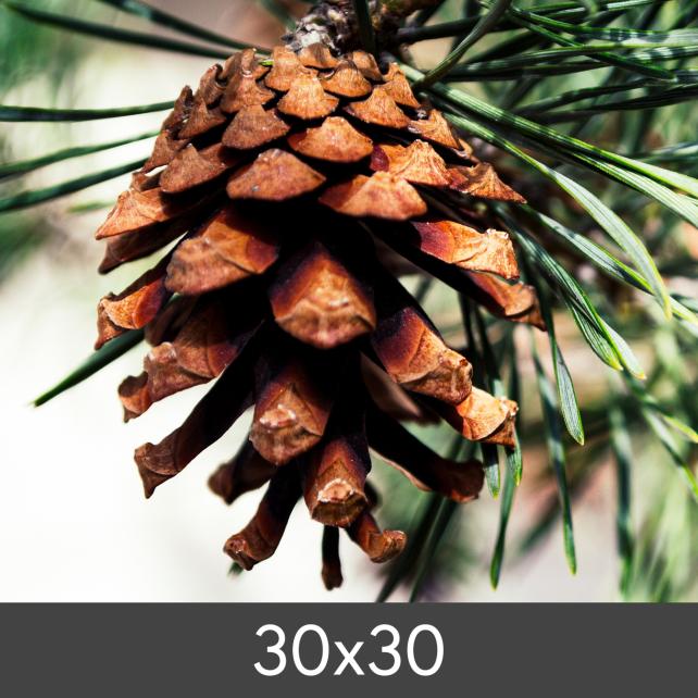 Egen tillverkning - Kundbild Vergrößerung FineArt Bamboo 290 g